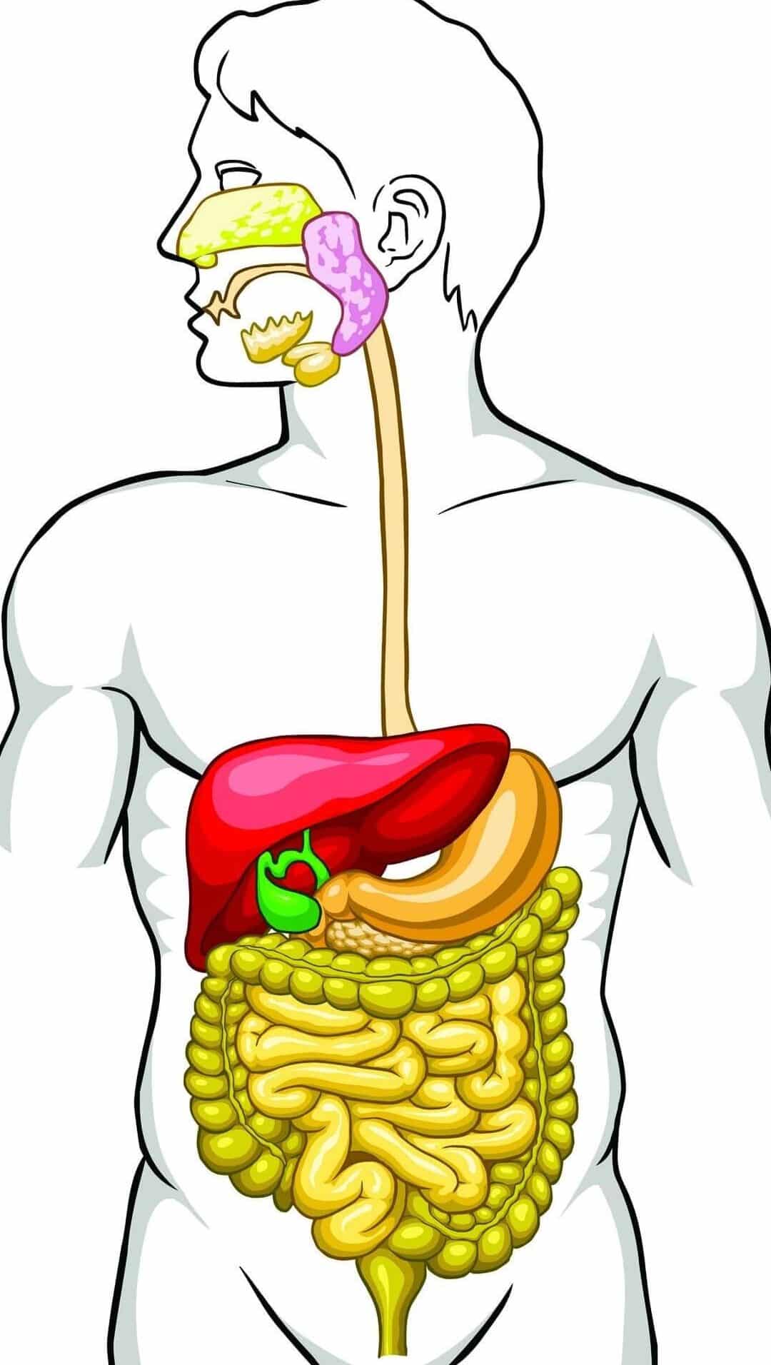 21bcdc4e6fe2f85175979d81ef5f1fbb