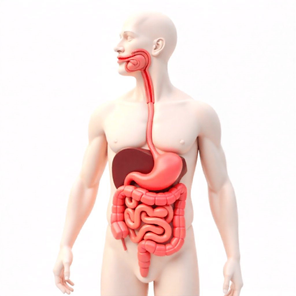 أمراض القناة الهضمية