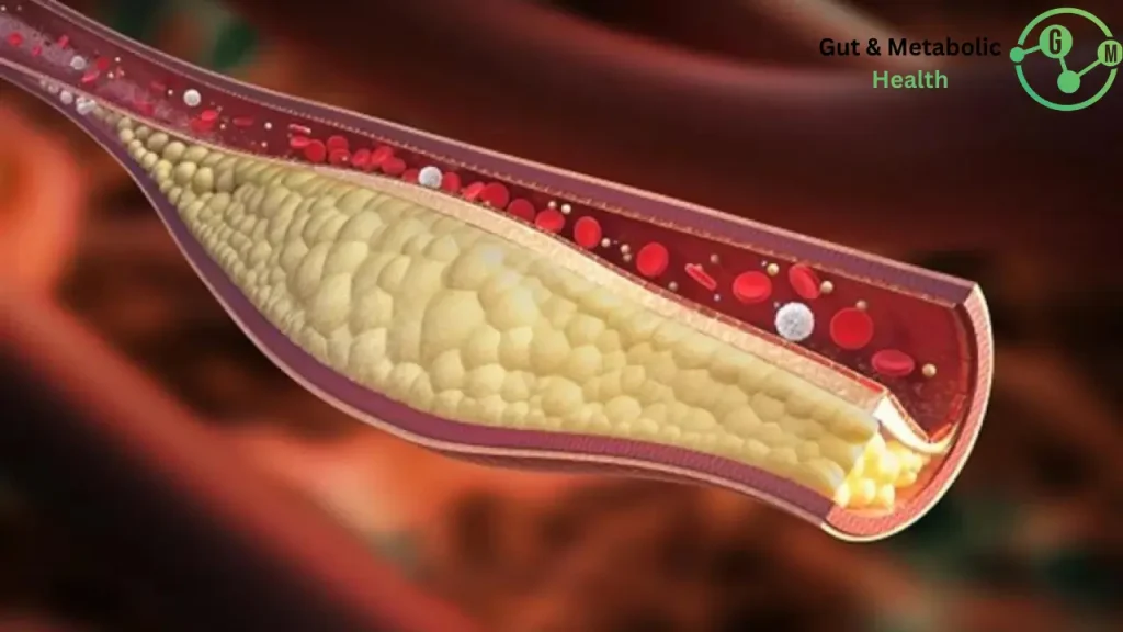 علاج للقضاء على الدهون الثلاثية والكولسترول وتخفيف الوزن علاج للقضاء على الدهون الثلاثية والكولسترول وتخفيف الوزن!