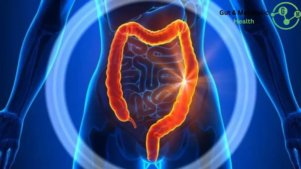 كيف انظف القولون؟ كيف انظف القولون