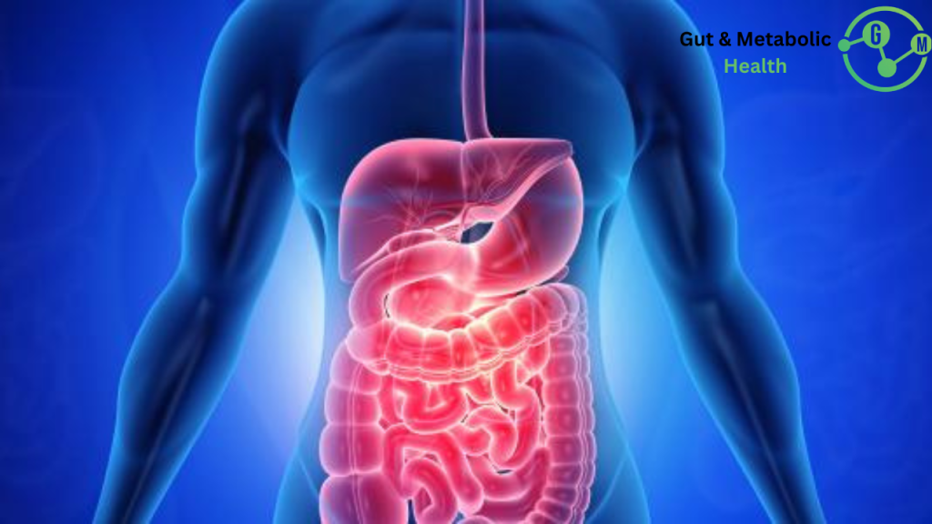 الفرق بين القولون العصبي والهضمي الفرق بين القولون العصبي والهضمي